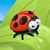 A cartoon ladybug with a red shell, black spots, and large white eyes stands on a green leaf with water droplets under a blue sky.