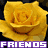 A contact sheet of 8 animated frames showing yellow roses with