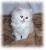 Static pixelated image of a white dog-like figure with dark eyes and nose, positioned between two brown vertical shapes against a light blue background.