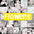 Animated sequence showing three text overlays: 'FLOWERS' in yellow, 'area' in green, and 'MYSTERY!' in cyan, over a pixelated background.