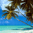 Pixelated beach scene with palm tree branches extending over turquoise water under a light blue sky.