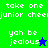 A split-screen animation with four quadrants displaying text and star symbols on colored backgrounds.