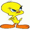 Yellow cartoon bird with blue eyes and orange beak stands in two poses, one foot forward.
