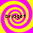 Four identical spiral patterns in yellow and magenta with the word 'bridget' overlaid on each, arranged in a
