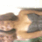 Static image of two figures in close proximity with one figure's arm around the other's shoulder, set against a light background.