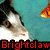 A cat with black and white fur faces right against a teal background, with goldfish swimming nearby; red text spans the lower portion.