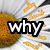 A static image of a daisy with text overlays reading 'why', 'dont', 'u <3', and 'me' in bold white letters on black outlines.