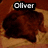 Animated sequence showing a brown dog-like figure with text overlays changing across frames.
