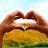 Two hands form a heart shape over a blurred landscape with yellow and green fields under a light blue sky, surrounded by pink pixelated text.