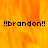 A static image with a fiery orange-yellow background and three instances of the text !!brandon!! in black pixelated font.