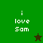 Green and brown pixelated icon with 'i love Sam' text, featuring a black star in top-right corner on green background and a green star in bottom-left corner on brown background.