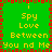 Green background with red and brown border, yellow text reading 'Spy Love Between You nd Me' repeated in four quadrants.