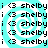 A static image shows a repeating pattern of 'i <3 shelby' text over a cyan and white spiral background with no visible animation changes.