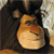 A pixelated cartoon character with a large orange face, dark hair, and a neutral expression against a dark background.