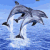 Two gray dolphins leap from blue water against a light blue sky, with the word 'dolphins' and three exclamation marks on the right.