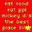 Red background with yellow pixelated text reading 'fat food fat ppl mickey d.'s the best place EVA' and a small star-like symbol.