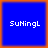 Four identical blue squares with orange borders each display the text SuXingL in white pixelated font.