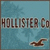 Pixelated blue background with brown text reading 'HOLLISTER Co' and a small pixelated bird-like shape in the lower right.