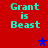 Red background with cyan text 'Grant is Beast' repeated four times and three stars in blue and purple.