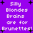 Purple background with white pixelated text reading "Silly Blondes Brains are for Brunettes!" repeated in two , surrounded by black plus signs