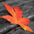 Three orange maple leaves with yellow gradients on a gray fabric background, arranged in a with one leaf missing in the bottom-right corner