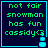 Dark blue background with cyan border, green text reading "not fair snowman has fun cassidy<3" and a small animated cyan snowman icon.