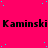 A bright pink background with scattered cyan dots and repeated black text reading "Kaminski" across three horizontal lines.