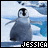 A pixelated penguin on ice with 'JESSICA' text below, showing animation changes in the name's lettering and color.