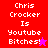 Pixelated text "Chris Crocker Is Youtube Bitches!" on red and pink backgrounds with star symbols.