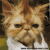 iconhell_rockpunk127_puss