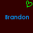 Green pixelated heart symbol above two blue 'Brandon' text instances on dark red background.