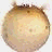A pixelated animated buddy icon featuring a yellowish-brown circular shape with small brown spots and a dark top edge, accompanied by black pixelated text reading "OOMP... there I go" on the right side against a white background.