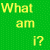 Green background with yellow pixelated text reading "What am I? Flypaper for freaks?" in a retro digital style.