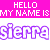 Pixelated text displays 'HELLO MY NAME IS' in white on pink background above two versions of 'sierra' with purple and pink outlines.