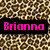 Two black rectangular nameplates with pink text on a pixelated leopard-print background, one reading "Brianna" and the other "Nicole".