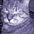iconhell_sunnyicon