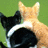 Pixelated image of two dogs on a green background with overlaid text.