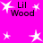 A bright pink background features multiple white star shapes and repeated "Lil Wood" text in black pixelated font across the frame.