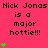 Pixelated text repeatedly states 'Nick Jonas is a major hottie!!!' with green plus signs on a bright pink background.