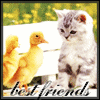 A cat and duckling stand side-by-side on a white surface with green foliage in the background, text reading 'best friends' at bottom.