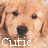Animated contact sheet of a golden retriever puppy's face with text variations across three frames, displayed in a 2x2 grid layout on a gray background.