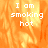 Pixelated orange and yellow flame background with white text reading "I am smoking hot" in three lines.