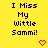 Yellow background with black pixelated text reading "I Miss My Wittle Sammi!" and two red pixelated hearts below the text.