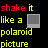 Animated text sequence displaying "shake it like a polaroid picture" with color variations and gray placeholder squares on black background.