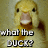 Pixelated image of a duck's face with text reading 'whot the DUCK?' below it, set against a muted brown background.