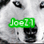 A four- displays distinct images with green text overlays: a polar bear, a car, a soldier, and a blank