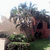 A pixelated outdoor scene with a house, tree, and grass under bright lighting.