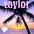 repeated palm tree sunset images with 'taylor' text and heart icons, alternating between white and pink colors