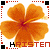 orange hibiscus flowers with red and black dotted borders, each containing partial text reading 'KRISTEN' in alternating colors
