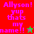 Pixelated text displays 'Allyson! yup thats my name!!' with star symbols on red, green, and brown backgrounds.